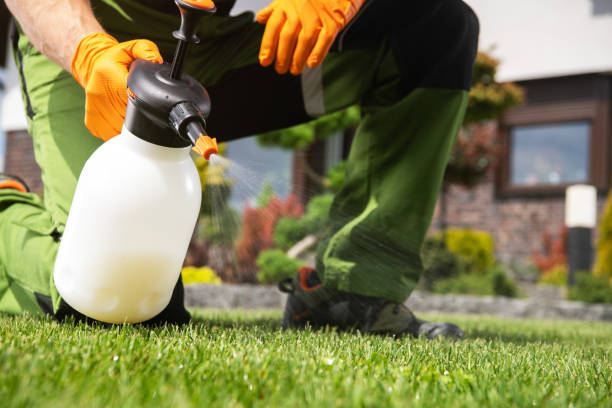 Best Local Pest Control Services  in Mescal, AZ