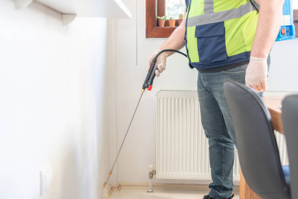 Best Pest Control Near Me  in Mescal, AZ