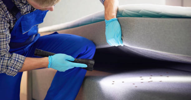 Best Ant Control Services  in Mescal, AZ