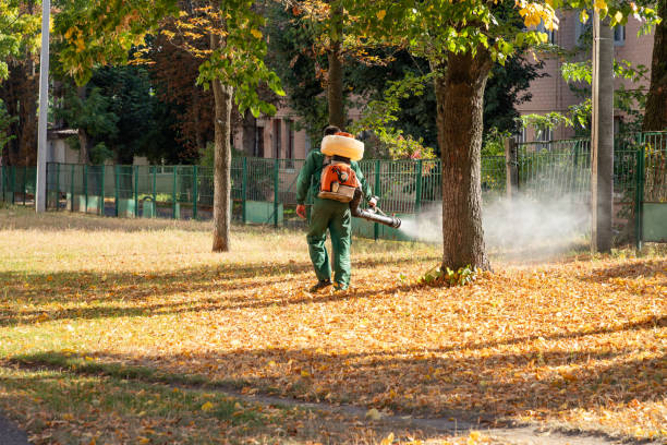 Best Commercial Pest Control Services  in Mescal, AZ